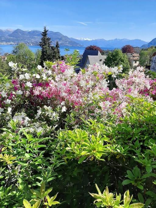 La Finestra Sul Lago - In Villa Con Vista E Posto Auto Coperto Στρέσα Εξωτερικό φωτογραφία